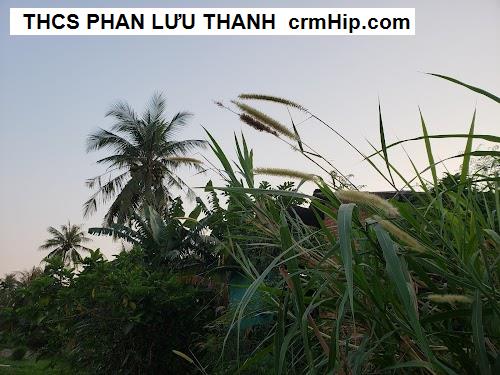 Trường THCS Phan Lưu Thanh